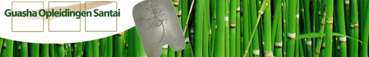 Guasha Opleidingen Santai