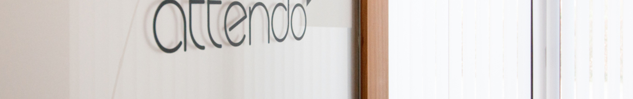 attendo professional