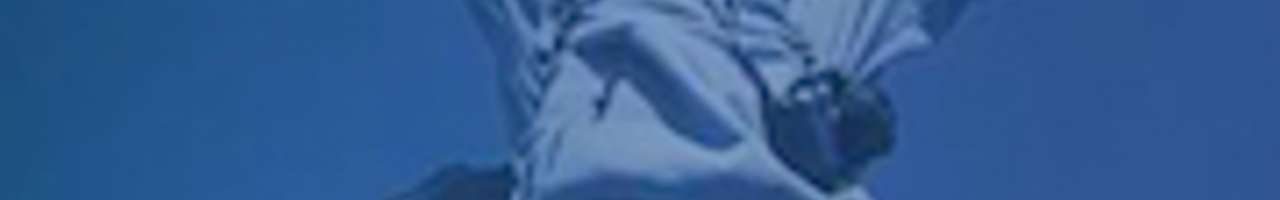 Applied Acumen Nederland