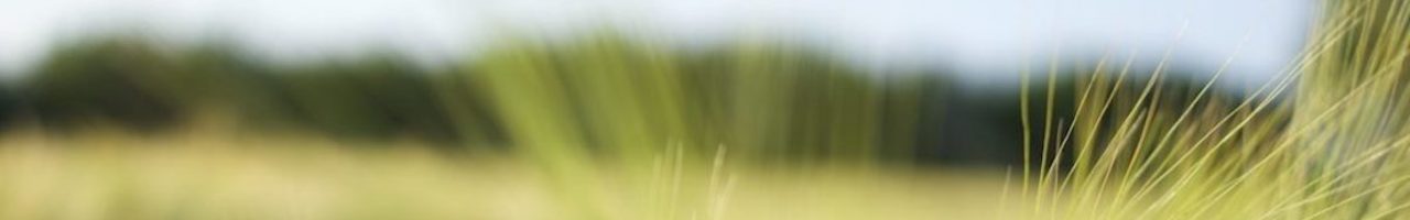 Handelskolleg der Agrar- und Ernährungswirtschaft