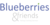 Logo von Blueberries & Friends GmbH