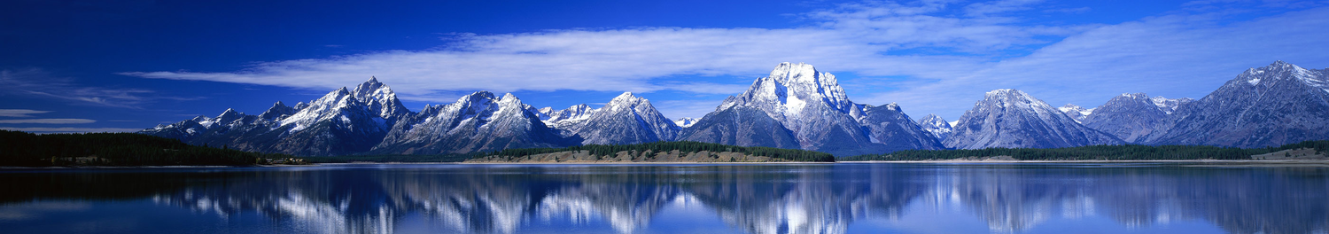 Caroline van der Beek